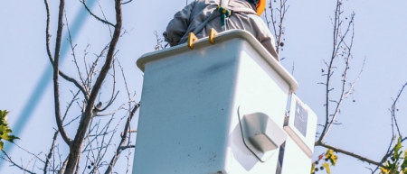 Vegetation management keeps power safe, reliable